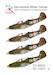 Aeronáutica Militar Cobras - Bell P-39 Airacobra in Portuguese service ed72022