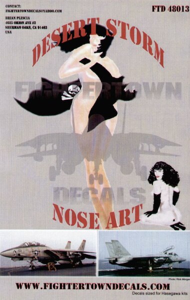 F14A Tomcat Desert Storm Nose Art ft48013