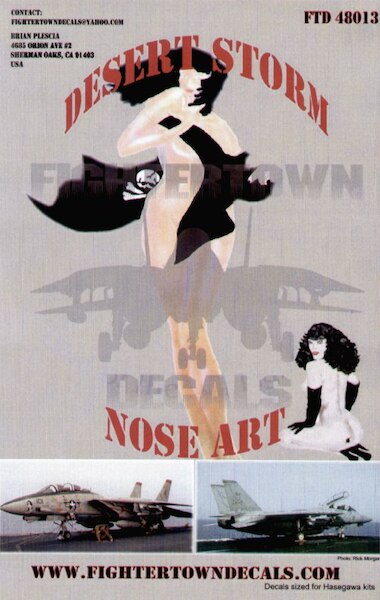 F14A Tomcat Desert Storm Nose Art  ft48013