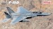 F15D Eagle Fighter (USAF) FP72952