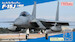 JASDF F-15J Fighter "J-MSIP" FF02