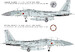 JASDF F-15J Fighter "J-MSIP" FF02
