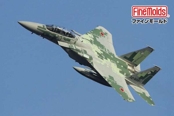 McDonnell Douglas F15DJ Eagle "Aggressor" (Digital Green camouflage) FK05