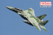 McDonnell Douglas F15DJ Eagle  "Aggressor" (Digital Green camouflage) FK05