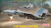 F14A Tomcat "Gulf War FP53