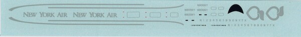 MD80 (New York air) FP20-237