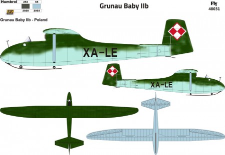 Grunau Baby IIb German Single seat Sailplane (Polish AF) 48031