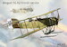 Bréguet Bré.XVI A2 (Finnish Service) Fly48040