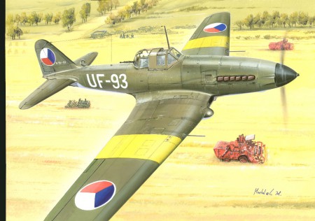 Ilyushin IL10 'Beast" Post War sevice (Czechoslovak, Polish and Bulgarian AF) 72037
