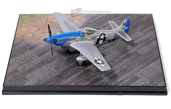 P51D Mustang "Petie 3rd" Lt. Col. JohnC. Meyer, 487th FS, 352nd Fighter Group, USAAF 1944 812013A
