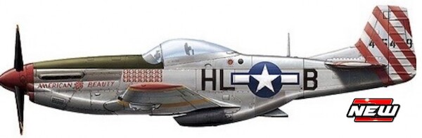 P51D Mustang Roca Aircraft Fighter 7th Squadron, 5th Fighter Group, Captain Cheng Sung Ting 1948 812013E