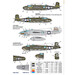 B25J/G Mitchell Pin Up Nose Art FOX144-006