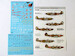 Red Snake; Soviet P39 Airacobra FOX48-021