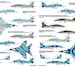 Ukrainian Fulcrums, MiG29 9-12 Ukrainian AF decals (Non digital schemes)  FOX72-061