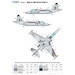 Sukhoi Su25 "Blue 19" Ukrainian AF  Light Pixel camouflage Masks  FOXM48-021
