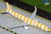 Airbus A321 Condor D-AIAD sunshine / yellow stripes