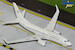 Boeing 737-700 Argentine Air Force / Fuerza Aérea Argentina T-99