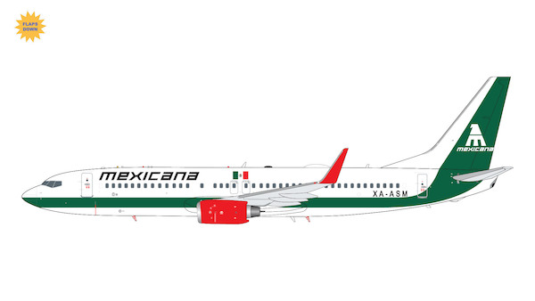 Boeing 737-800 Mexicana XA-ASM flaps down  G2MXA1303F