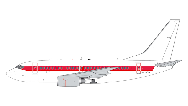 Boeing 737-600 EG&G "Janet" N319BD  GJEGG2419