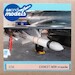 M39 Exocet Missile GM-32002