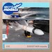 M39 Exocet Missile GM-32002