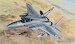 F15B/D Eagle dual (USAF and Israeli AF) L4815