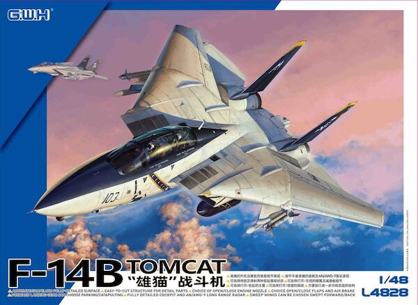 Grumman F14B Tomcat L4828