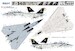 Grumman F14B Tomcat L4828