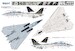 Grumman F14B Tomcat L4828