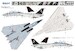 Grumman F14B Tomcat L4828