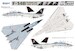 Grumman F14B Tomcat  L4828