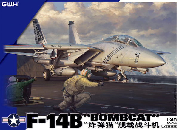 Grumman F14B "Bombcat" L4833