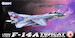 Grumman F14A Tomcat L7206
