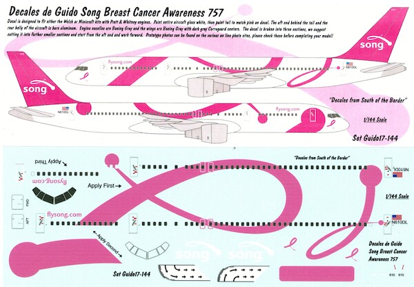 Boeing 757 (SONG 'Breast Cancer Awareness" )  GUIDO17-144