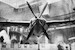 Koolhoven FK55 (LAST BATCH)  FK-55