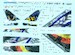 Eurofighter eagle Star Luftwaffe) HH144075