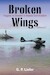 Broken Wings: Tragedy and Disaster in Alaska Civil Aviation