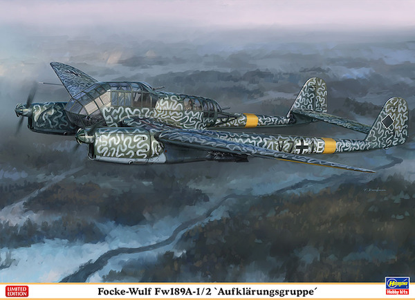 Focke Wulf FW189A-1/2 "Aufklarungsgruppe"  02275