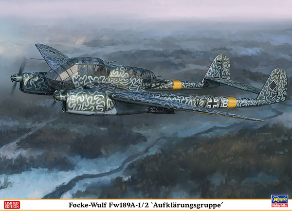 Focke Wulf FW189A-1/2 "Aufklarungsgruppe" 02275
