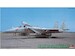 F15J Eagle (Mystic Eagle IV 204sq JASDF Part 2) 03501