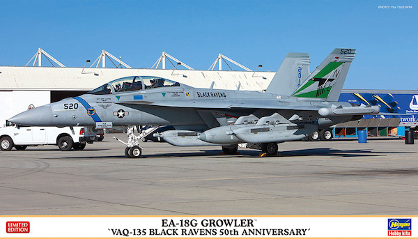 EA18G Growler "VAQ135 Black Ravens 50th Anniversary" 02351