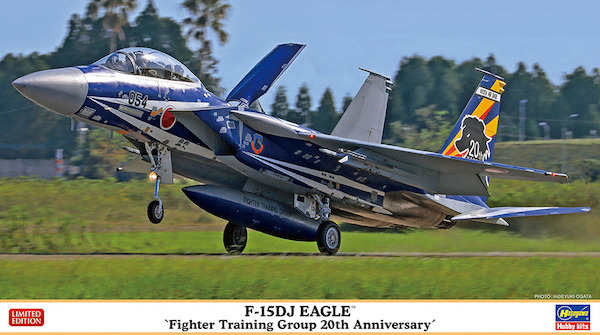 F15DJ Eagle "Fighting Training group 20th Anniversary"  02362