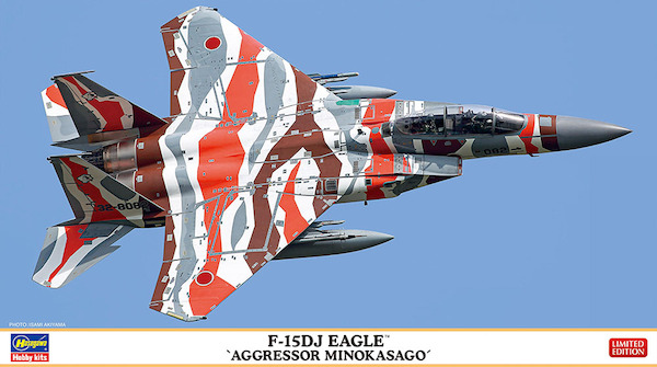 F15DJ Eagle (Aggressor Minokasago Scheme JASDF) 02415