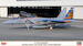 F15J Eagle (204sq Naha Air Base 40th Anniversary) 02419