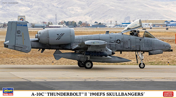 A10C Thunderbolt II "190EFS 'Skullbangers'"  02451