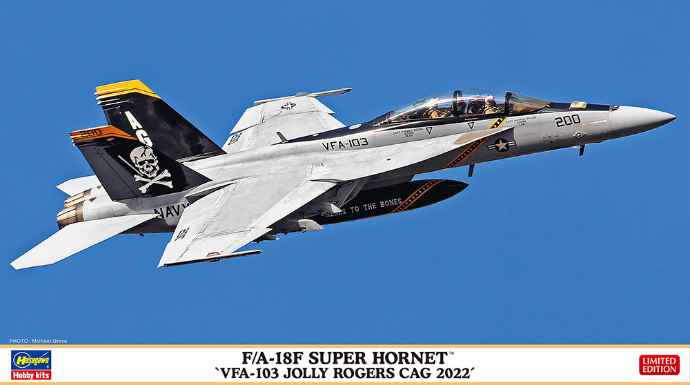 Hasegawa 02458 F/A18F Super Hornet 