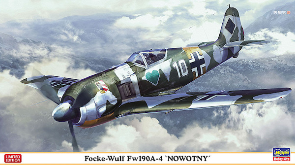 Focke Wulf FW190A-4 "Nowotny" 07506