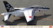 Kawasaki T4 "13TFW JASDF 70th Anniversary" 2407549