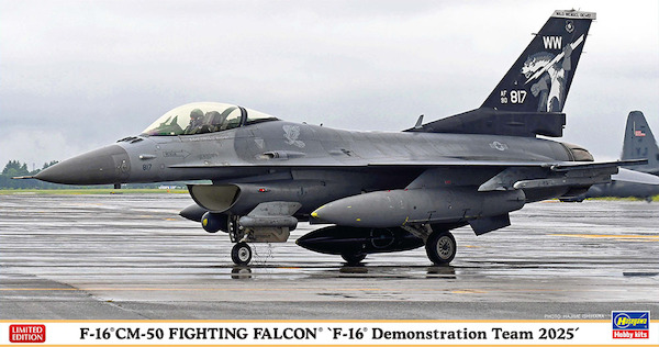 F16CM F-16 demonstration team 2025 07558