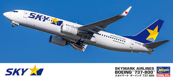 Boeing 737-800 "Skymark Airlines" 10744